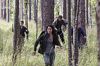 Die Pute von Panem - The Starving Games [DVD], 4