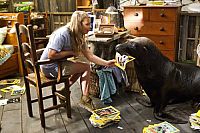 Die Rückkehr zur Insel der Abenteuer [DVD], 5