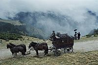 Das Gasthaus des Schreckens, 3