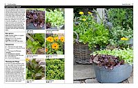 Gärtnern ohne Garten, 1