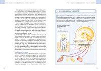 Gesunde Zähne - gesunder Mensch, 3