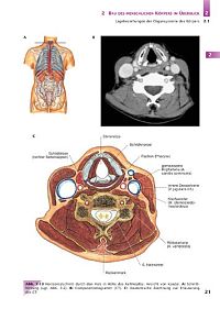 Handbuch Anatomie - Bau und Funktion des menschlichen Körpers, 3