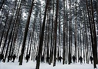 Les révoltés de l'île du diable [DVD], 6