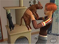 Die Sims 2 - Haustiere [PC], 6
