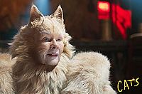 Cats [Blu-ray], 3
