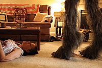 Late Phases [Blu-ray], 2