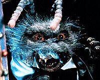 Mom und Dad retten die Welt [DVD], 2