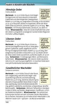 Welcher Baum ist das?, 7