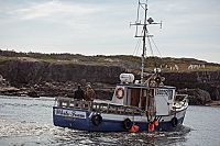 Die grosse Versuchung - Lügen bis der Arzt kommt [Blu-ray], 6