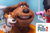 Pets 2 [DVD], 2