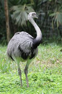 Faszination Amazonas - Südamerika [Blu-ray], 2