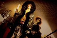 Shamo - The Ultimate Fighter [DVD], 3