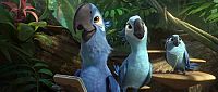 Rio 2 [DVD], 3