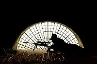 Killers Anonymous - Traue niemandem [DVD], 3