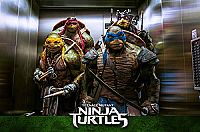 Teenage Mutant Ninja Turtles [DVD], 8