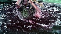 Blood Lake - Killerfische greifen an [Blu-ray], 4