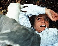 Die Möweninsel [DVD], 6