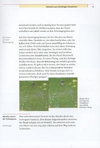 Erziehungsspiele für Hunde, 1