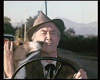 Die schönsten Hundefilme [DVD], 5