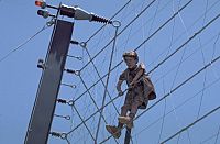 Jurassic Park [Blu-ray 3D], 3