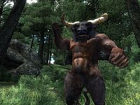 The Elder Scrolls IV - Oblivion [Microsoft Xbox 360], 3