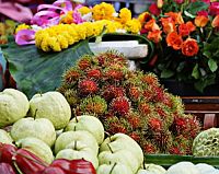 Sony DSC-W830 Digitalkamera (20, 1 Megapixel, 8x optischer Zoom, 6, 8 cm (2, 7 Zoll) LC-Display, 25mm Carl Zeiss Vario Tessar Weitwinkelobjektiv, SteadyShot) schwarz, 7