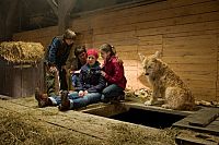 Tiere bis unters Dach - Staffel 2 [DVD], 4