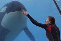 Der Geschmack von Rost und Knochen [Blu-ray], 4