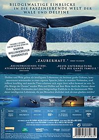 Die Könige der Ozeane [DVD], 1