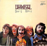 Füüf Narre im Charre [Vinyl], 1