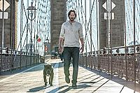 John Wick - Kapitel 2  [Blu-ray], 8