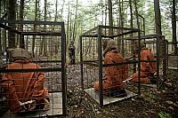 Territories [DVD], 3