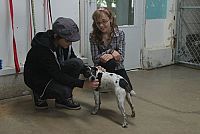 Vampire Dog [DVD], 5