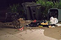 Wakefield - Dein Leben ohne dich [DVD], 7