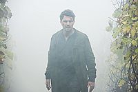 Weinberg - Im Nebel des Schweigens [Blu-ray], 4