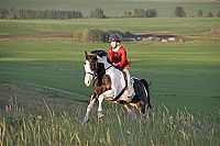 Ein Pferd für Moondance [DVD], 2