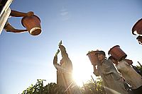 Fair Food - Genuss mit Verantwortung [DVD], 8