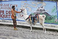 Sur la piste du Marsupilami [Blu-ray], 5