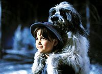 Weihnachten mit Willy Wuff - Collection [DVD], 5