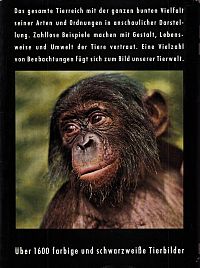 Das grosse illustrierte Tierbuch, 1