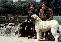 L'horloger de Saint-Paul [DVD], 1