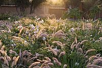 Mediterranes Gartendesign - Spektakuläre Privatgärten, 1