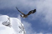 L'Aigle et l'enfant [DVD], 3