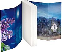 Fliedernächte: Roman, 3