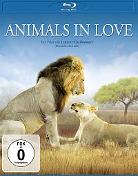 Animals in Love - Tierisch verliebt [Blu-ray], 1