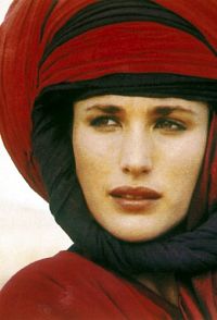 Das Geheimnis der Sahara [DVD], 5