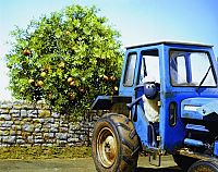 Shaun das Schaf - Abrakadabra [DVD], 4