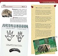 Tierspuren erkennen & bestimmen, 2