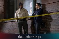 The Little Things [DVD], 3