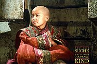 Auf der Suche nach dem goldenen Kind [DVD], 2